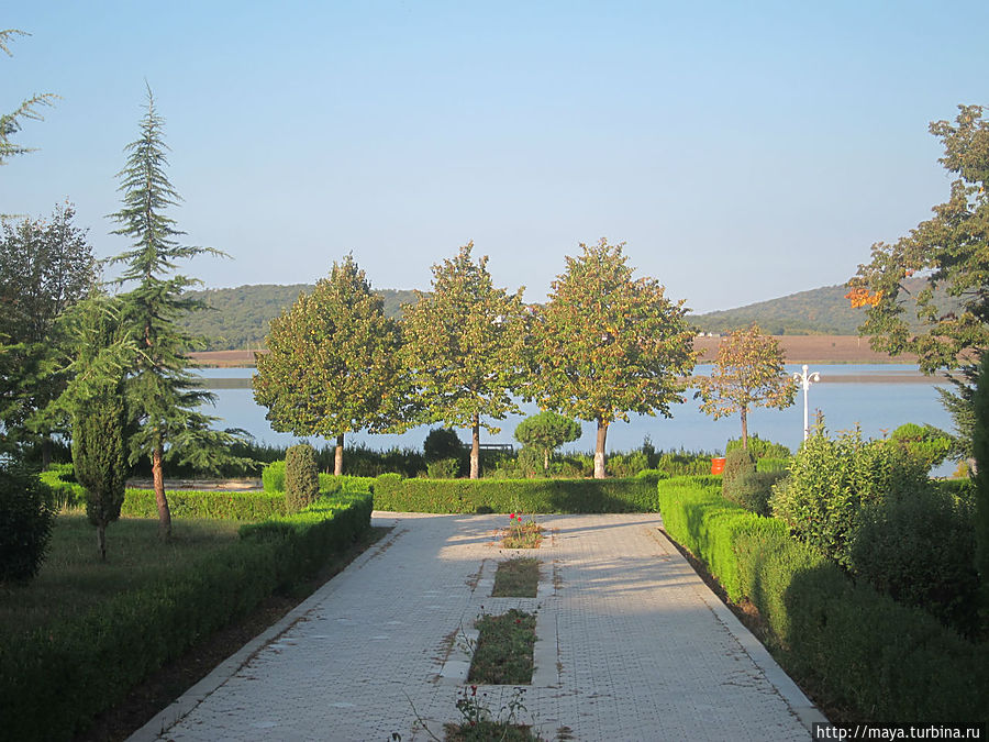 Сны о Грузии. Базалети Грузия Сны о Грузии. Базалети Грузия