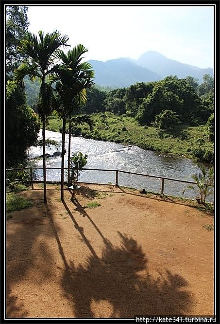 Внеплановое посещение родины чая и улыбок. Джунгли Китулгала, Шри-Ланка