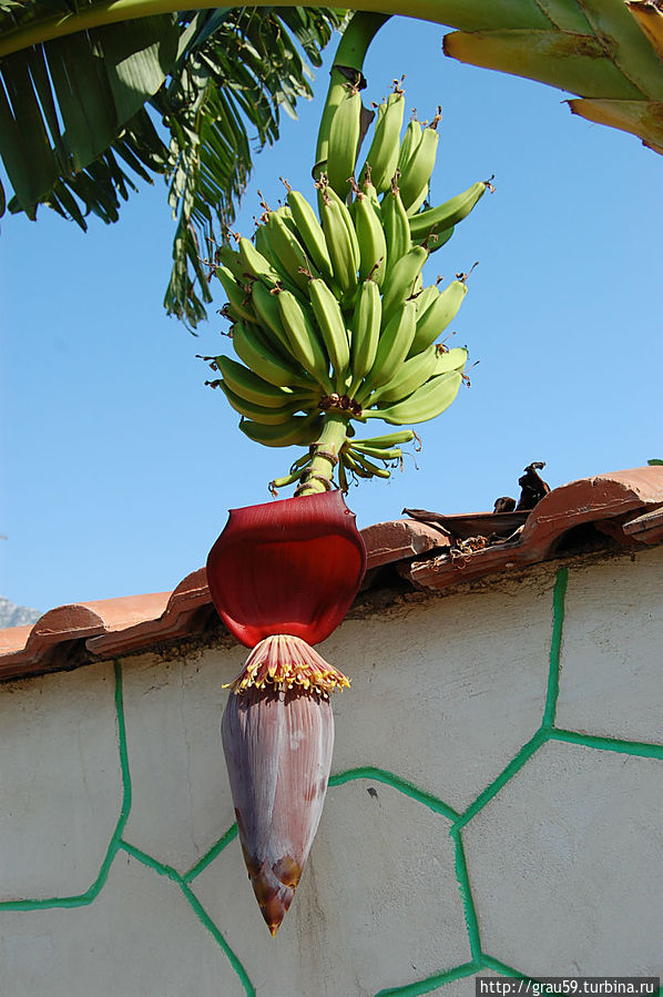 По улицам Бельдиби Бельдиби, Турция По улицам Бельдиби Бельдиби, Турция