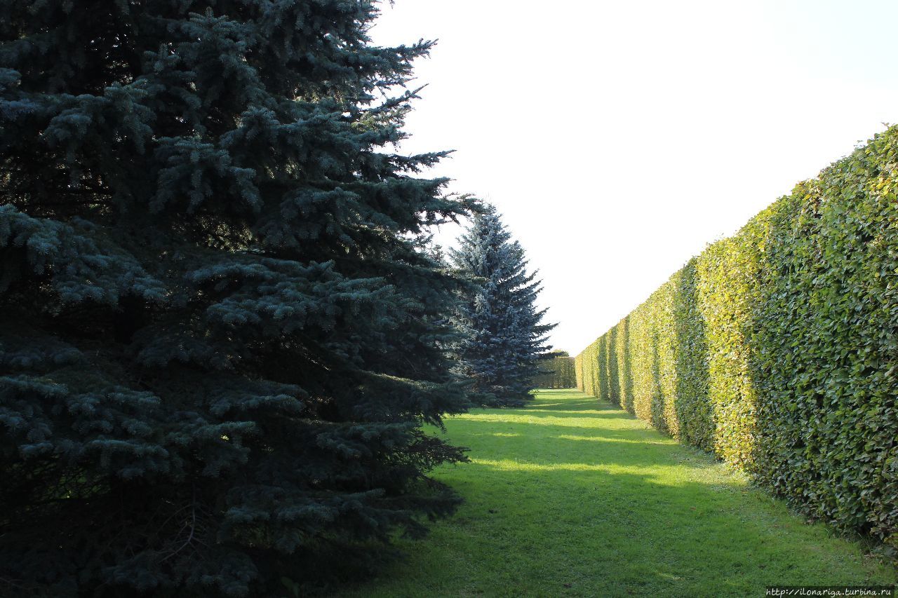 Все в сад... Рундальского замка Рундале, Латвия