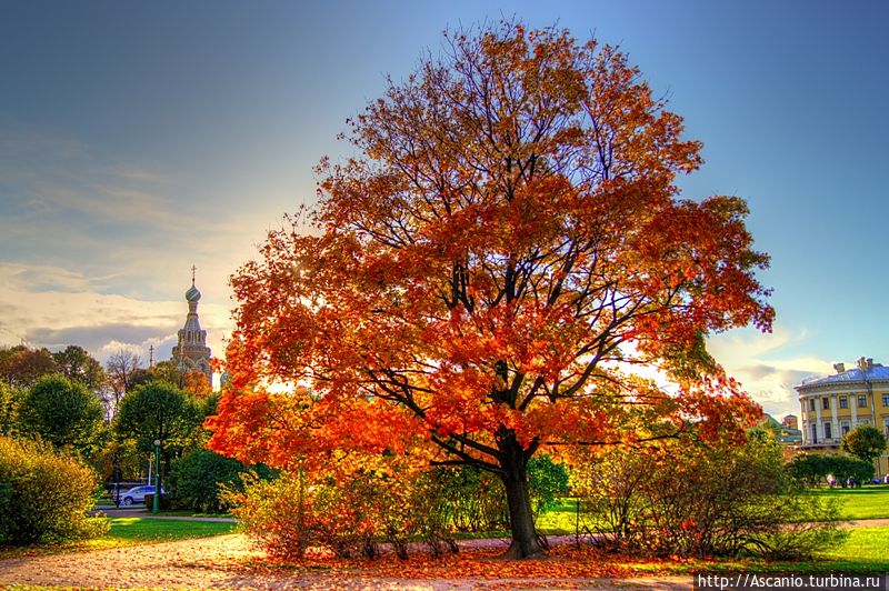 А это моя первая hdr. Не очень удачная А это моя первая hdr. Не очень удачная