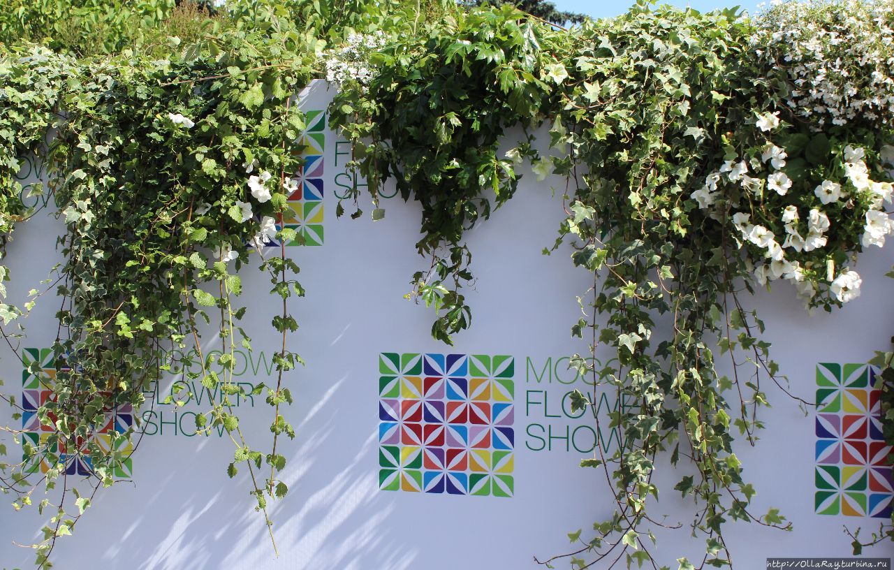 Moscow Flower Show 2017. Фотоотчёт и впечатления. Москва, Россия Moscow Flower Show 2017. Фотоотчёт и впечатления. Москва, Россия