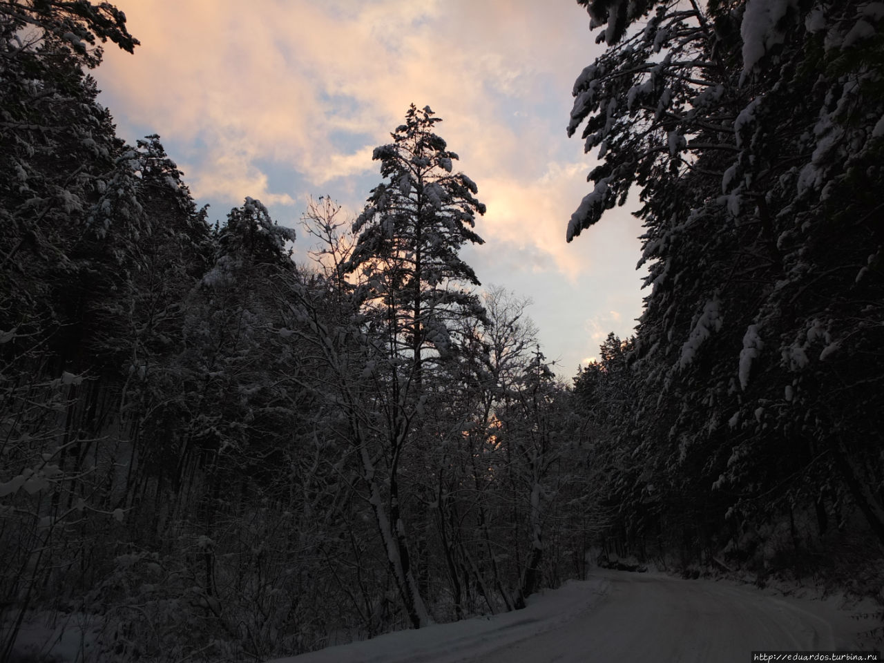 Закат в зимнем лесу Красноярск, Россия