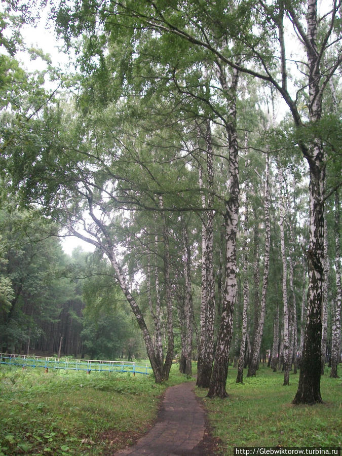 Городской парк Новомосковск, Россия