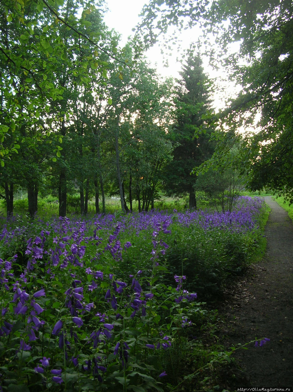 В саду Петрозаводск, Россия