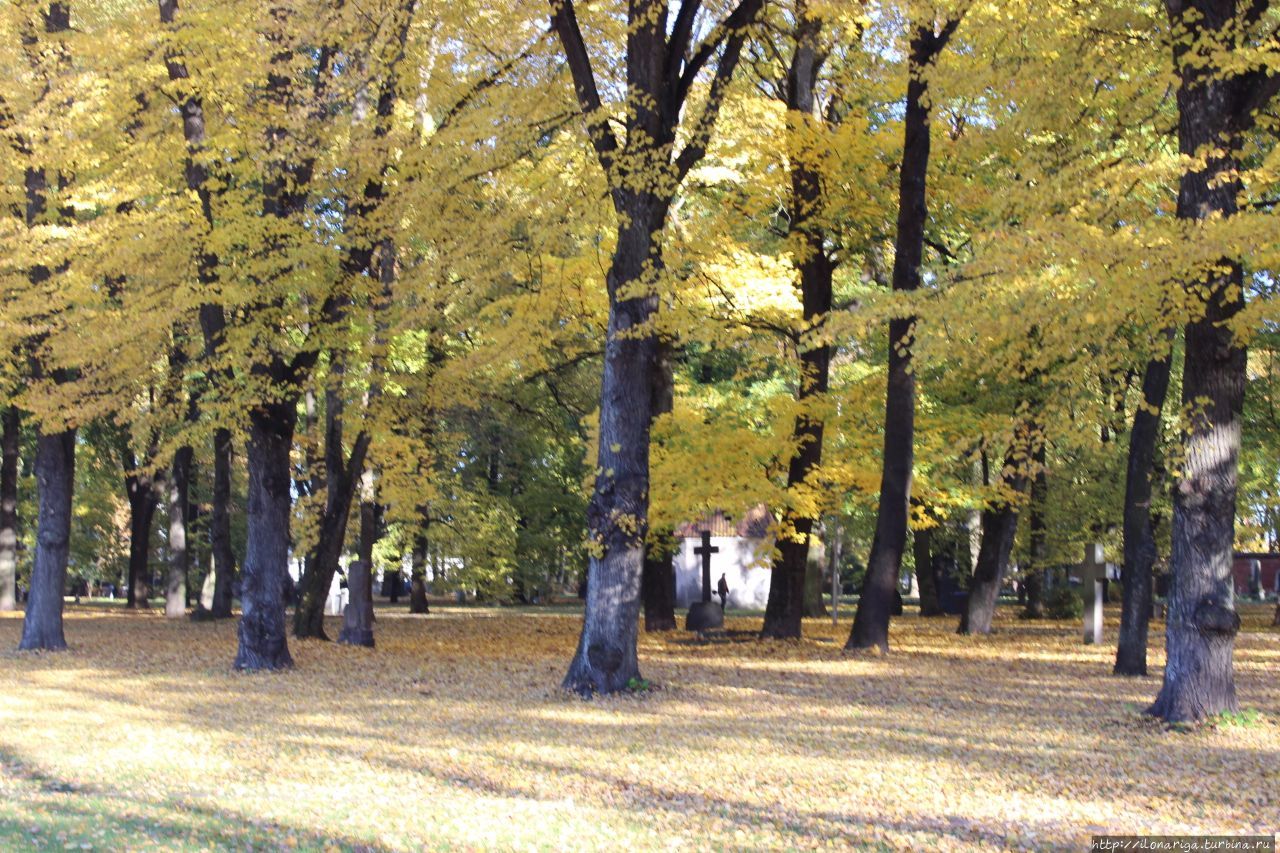 Осенняя сказка Рига, Латвия