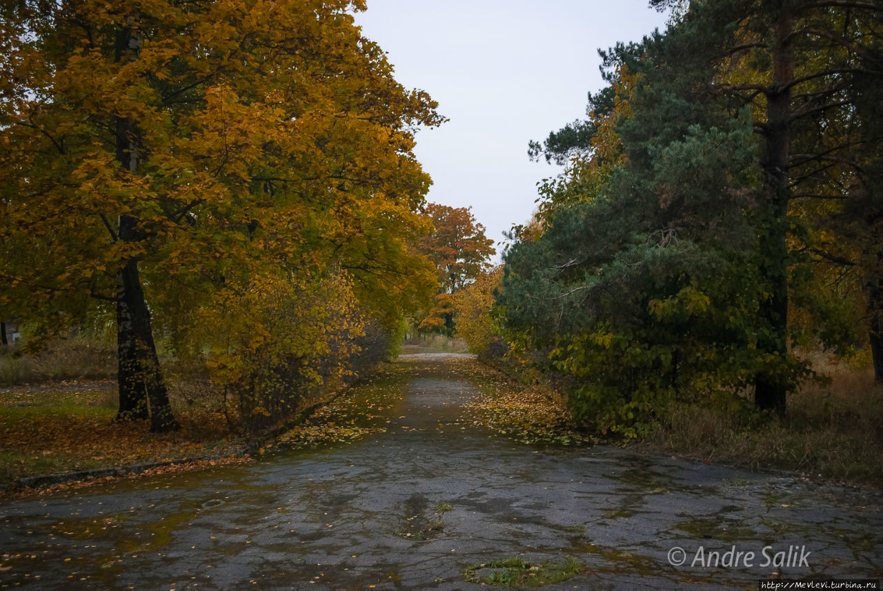 Золотая осень в Болдерае Рига, Латвия