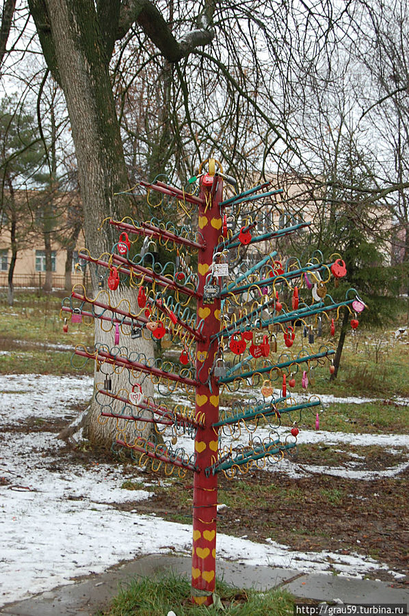 Дерево любви Дерево любви