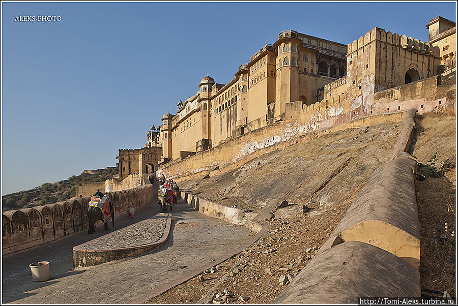 Магия Янтарного Форта (Индийские Приключения ч32) Джайпур, Индия
