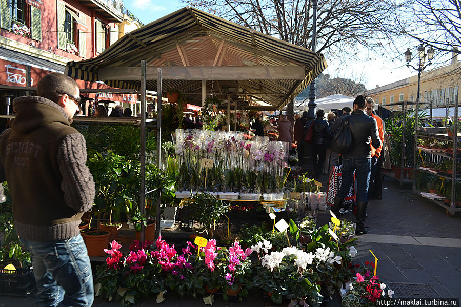 Цветочный рынок. Ницца, Франция