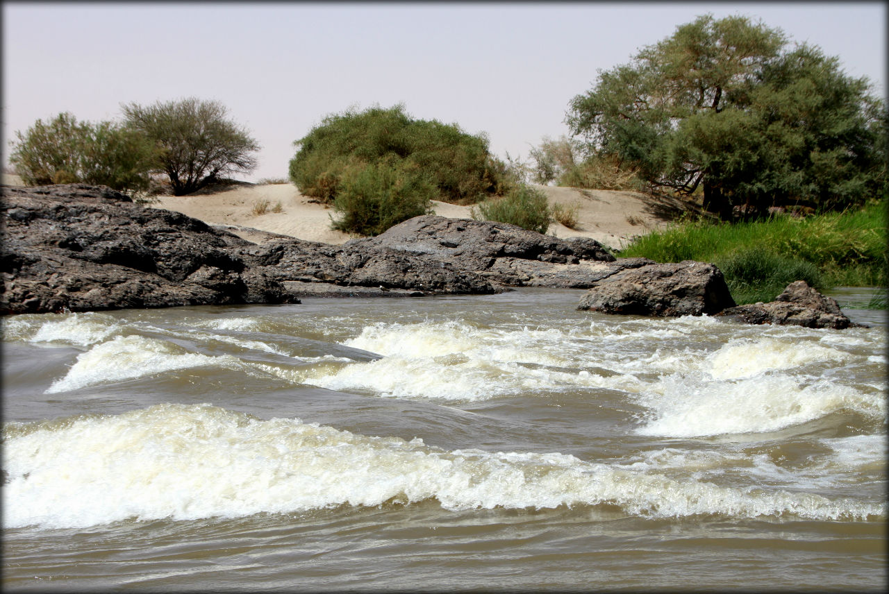 Знакомство с великим Нилом Сабалока Гейм Резерв (природный парк на Ниле), Судан