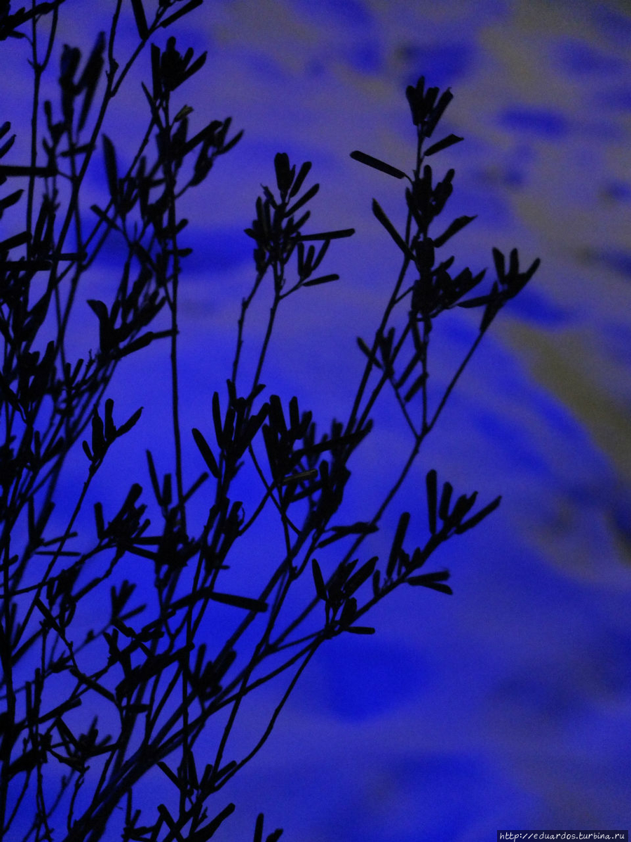 Тоже как будто на фоне неба))) Красноярск, Россия Тоже как будто на фоне неба))) Красноярск, Россия