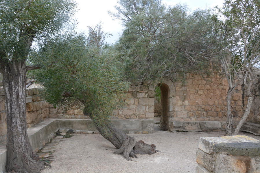 Гора Фавор. Францисканская церковь Преображения Кфар-Тавор, Израиль