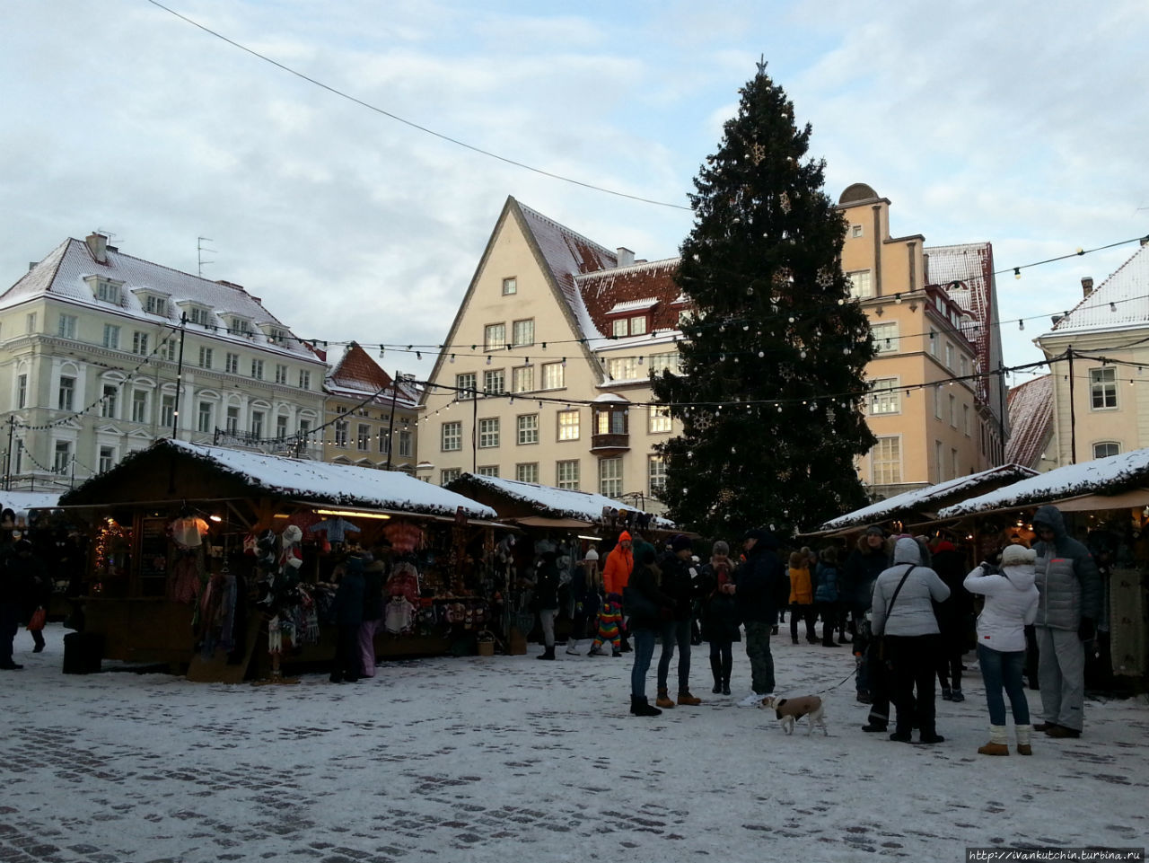 Рождественские селфи в Таллине Таллин, Эстония