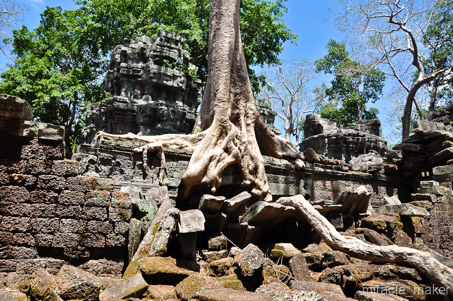 Именно это место вдохновило писателя Редьярда Киплинга на написание своей знаменитой «Книги джунглей». Ангкор (столица государства кхмеров), Камбоджа