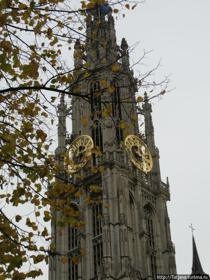 Башня Кафедрального Собора Антверпен, Бельгия