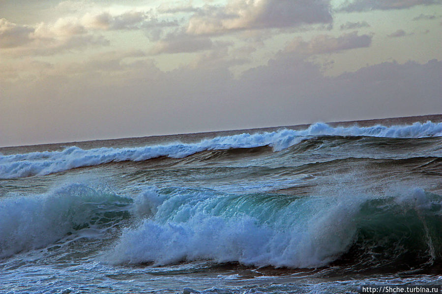 сперва, минут десять мы просто любовались волнами Каена Поинт Парк Штата, остров Оаху, CША