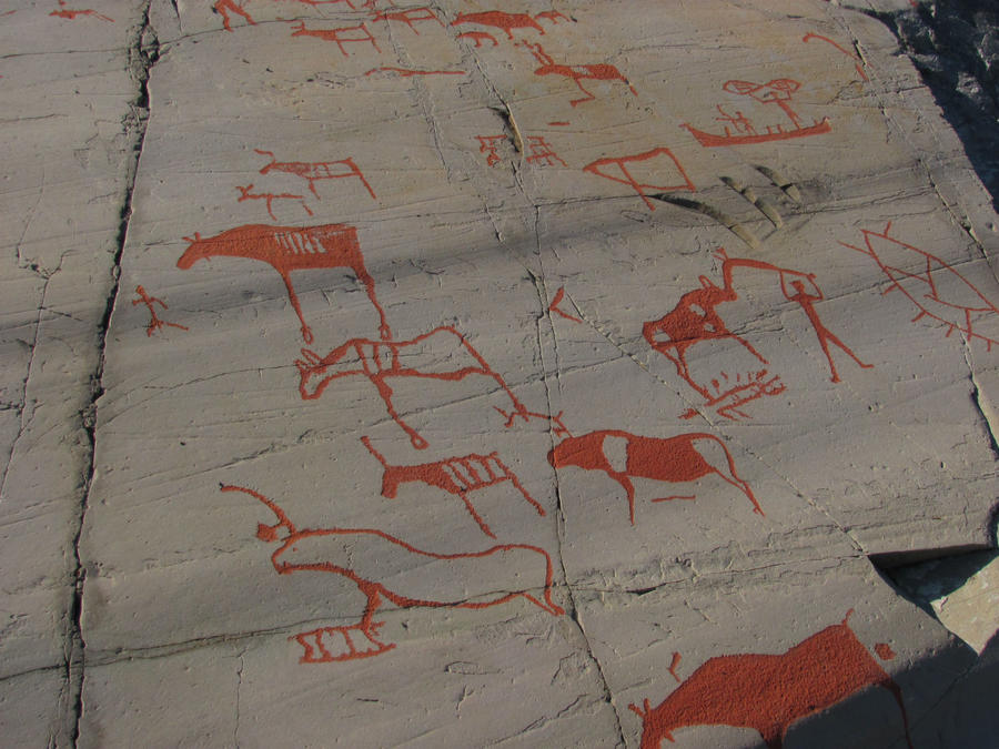 Финнмарк.  Ягоды, иван-чай и рисунки древних Альта, Норвегия