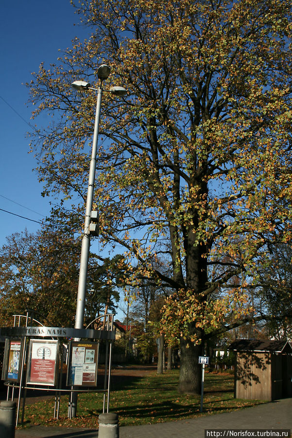 вдоль по Йомас вдоль по Йомас