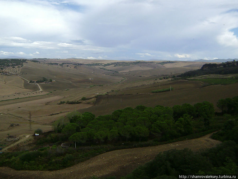 Тарквиния. Под кронами деревьев Данте Алигьери Тарквиния, Италия Тарквиния. Под кронами деревьев Данте Алигьери Тарквиния, Италия