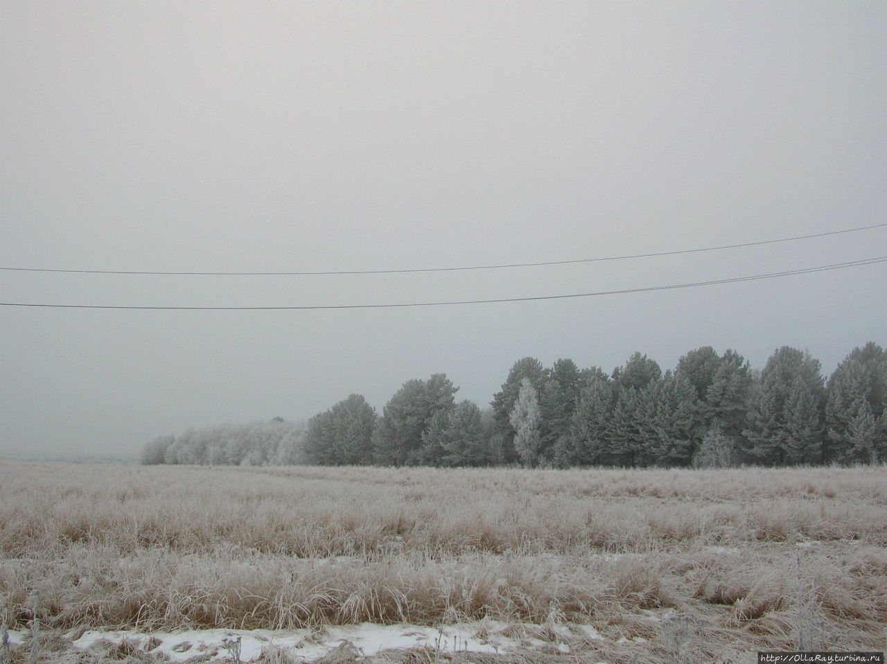 Карельские зимы нестабильные — то снега навалит, а то никак не покроется. Шуя, Россия