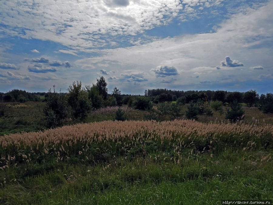 Дуга Струве — самый сложно-воспринимаемый памятник ЮНЕСКО Пальяпиукай, Литва