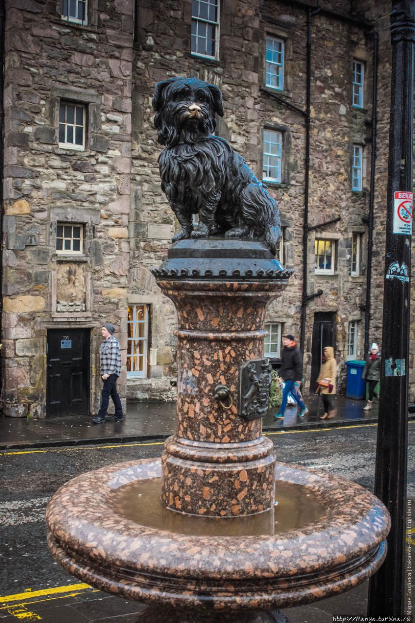 Памятник собачьей преданности Грейфрайерс Бобби. Фото из интернета Эдинбург, Великобритания