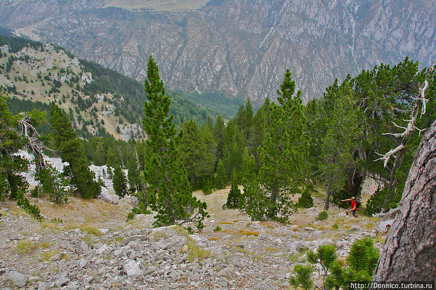 Вверх по каменной вилке 2 — Обманчивая вертикаль Сальдес, Испания Вверх по каменной вилке 2 — Обманчивая вертикаль Сальдес, Испания