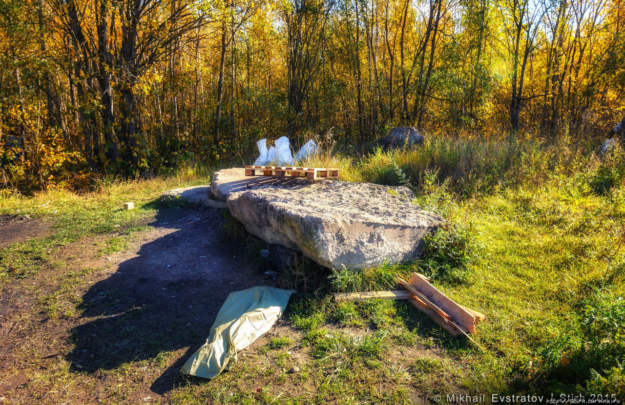 Луговой парк Петергоф, Россия