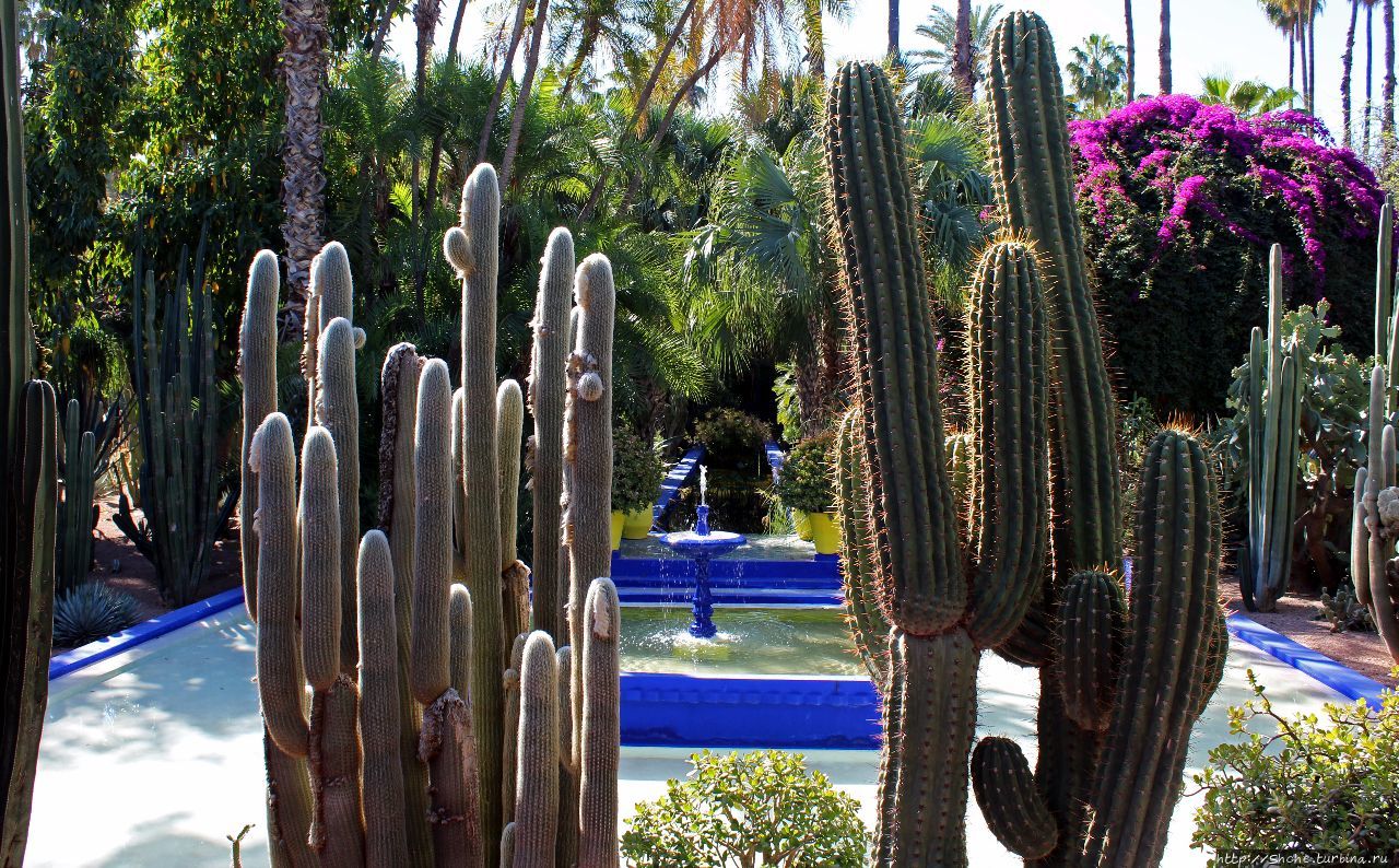 Сад Мажорель Марракеш, Марокко