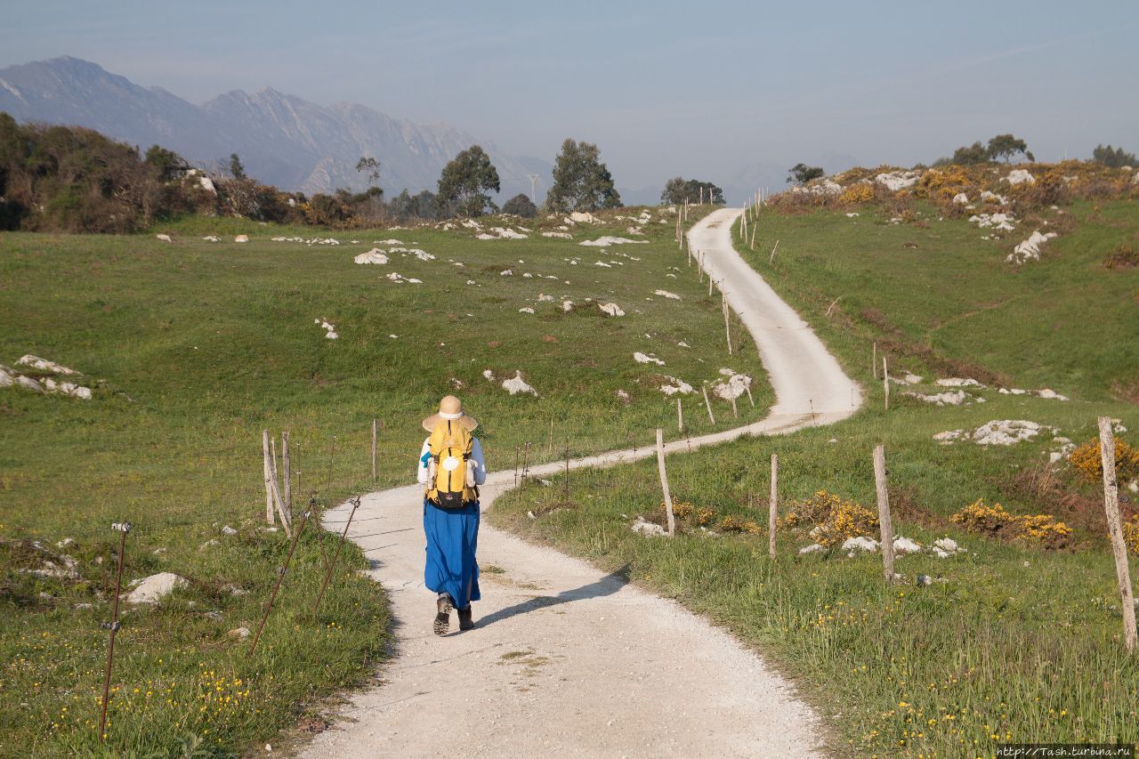 Camino del Norte. Северный путь в Сантьяго де Компостела. Сантьяго-де-Компостела, Испания