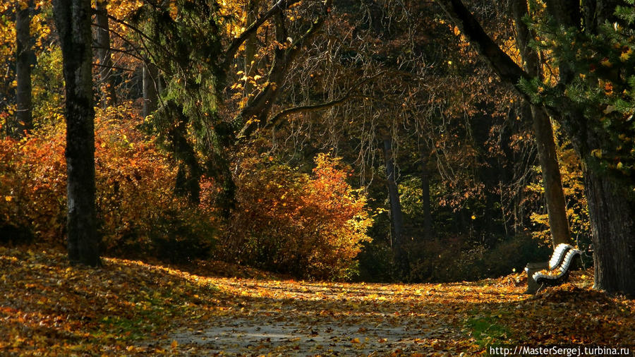 Осень в Паланге Паланга, Литва