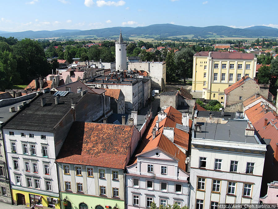 Панорама города с обзорной площадки ратуши Пачкув, Польша