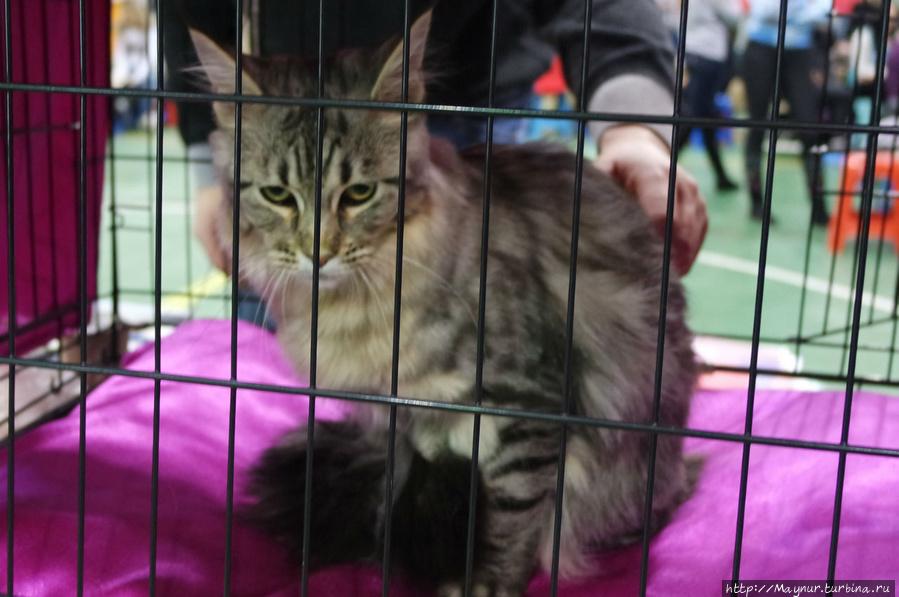 Самые любимые... Южно-Сахалинск, Россия Самые любимые... Южно-Сахалинск, Россия