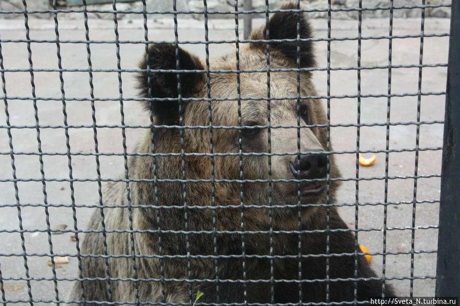 В Ялтинском зоопарке Ялта, Россия