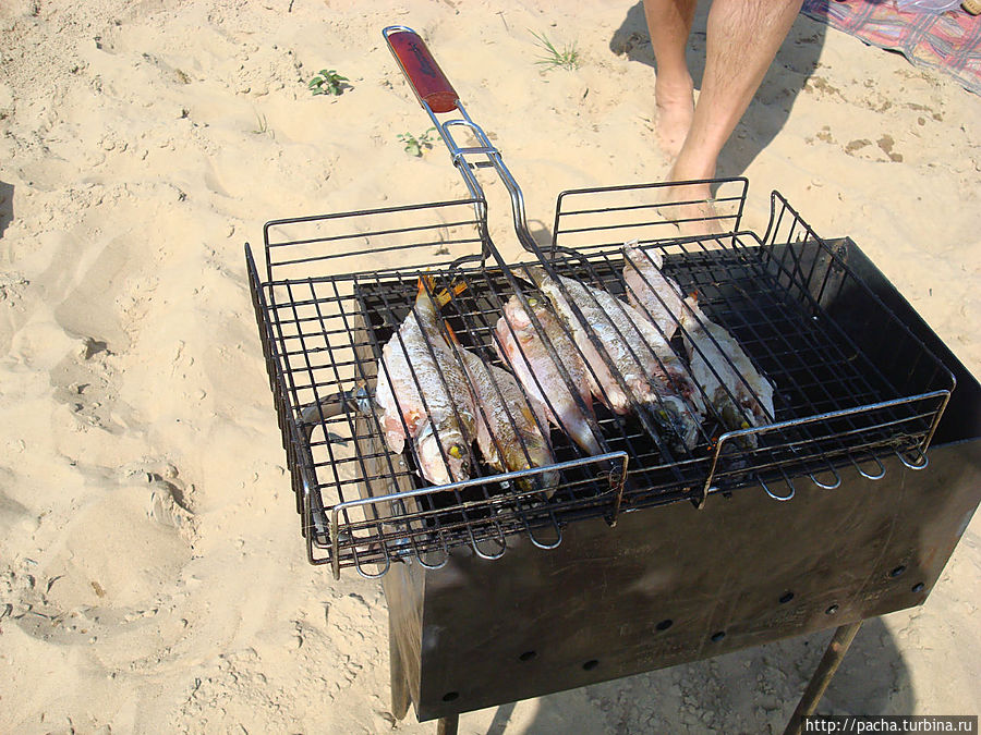 Беларусь фрагменты и зарисовки матушки природы Борисов, Беларусь Беларусь фрагменты и зарисовки матушки природы Борисов, Беларусь