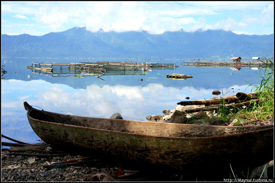 Озеро    Манинджау  и  сюрпиз   перед  ним... Букиттинги, Индонезия