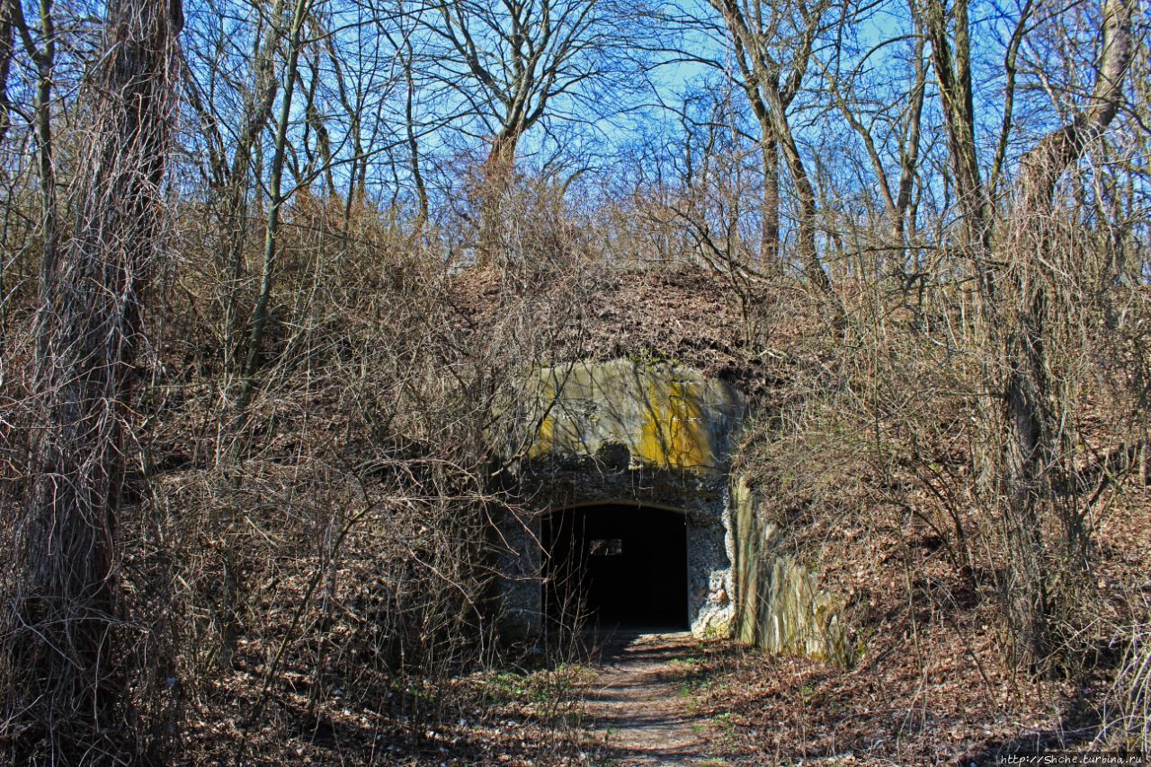 Таракановский форт Тараканов, Украина