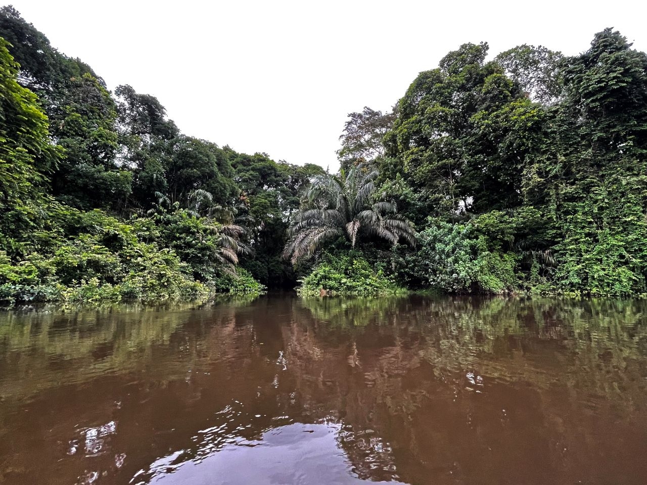 Река Лобе Лобе, Камерун