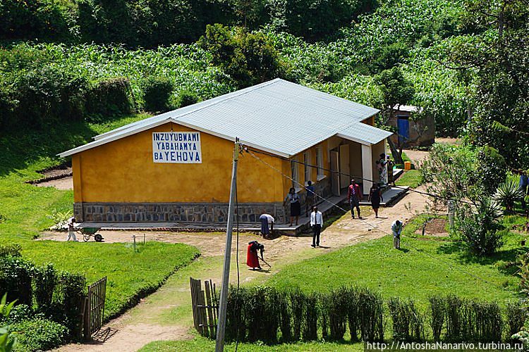 Иеговисты Иеговисты