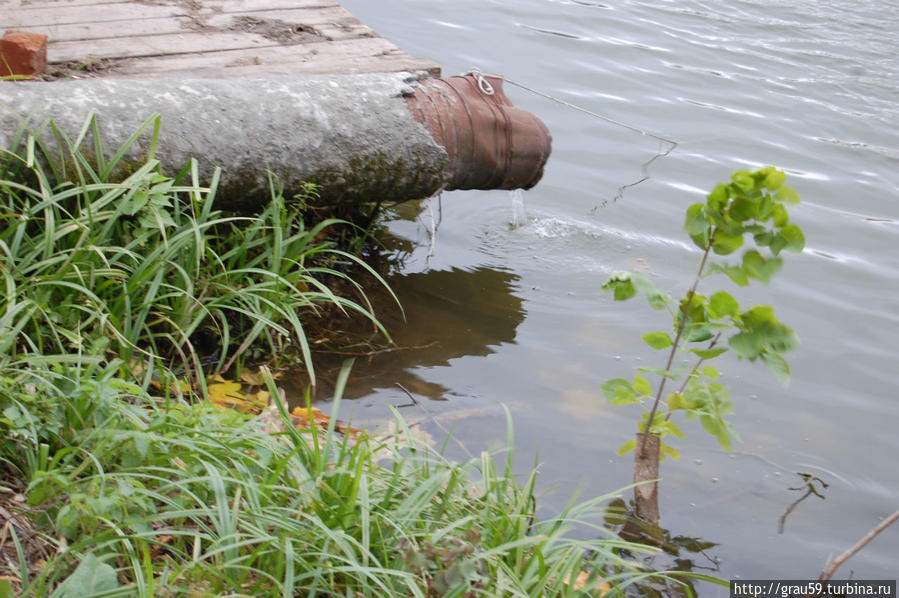 Черемшаны. Живая и мёртвая вода Черемшаны, Россия