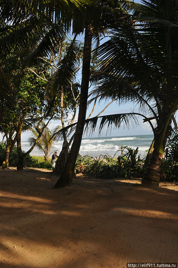Шри-Ланка, Коггала, сентябрь 2012, Koggala Beach Hotel Коггала, Шри-Ланка