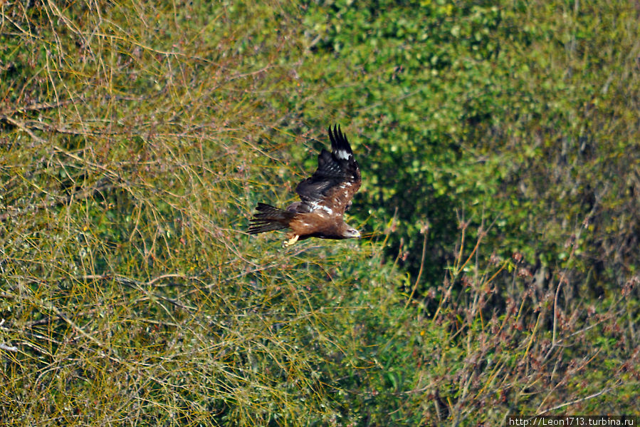 Просто природный выходной Тульская область, Россия Просто природный выходной Тульская область, Россия