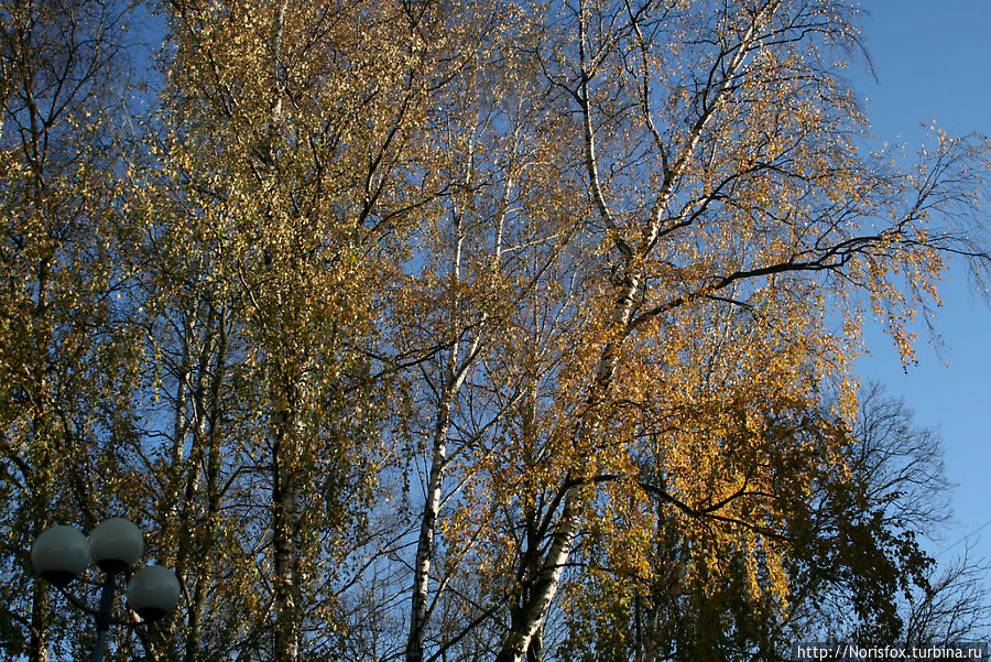 Поздней осенью в Юрмале Юрмала, Латвия