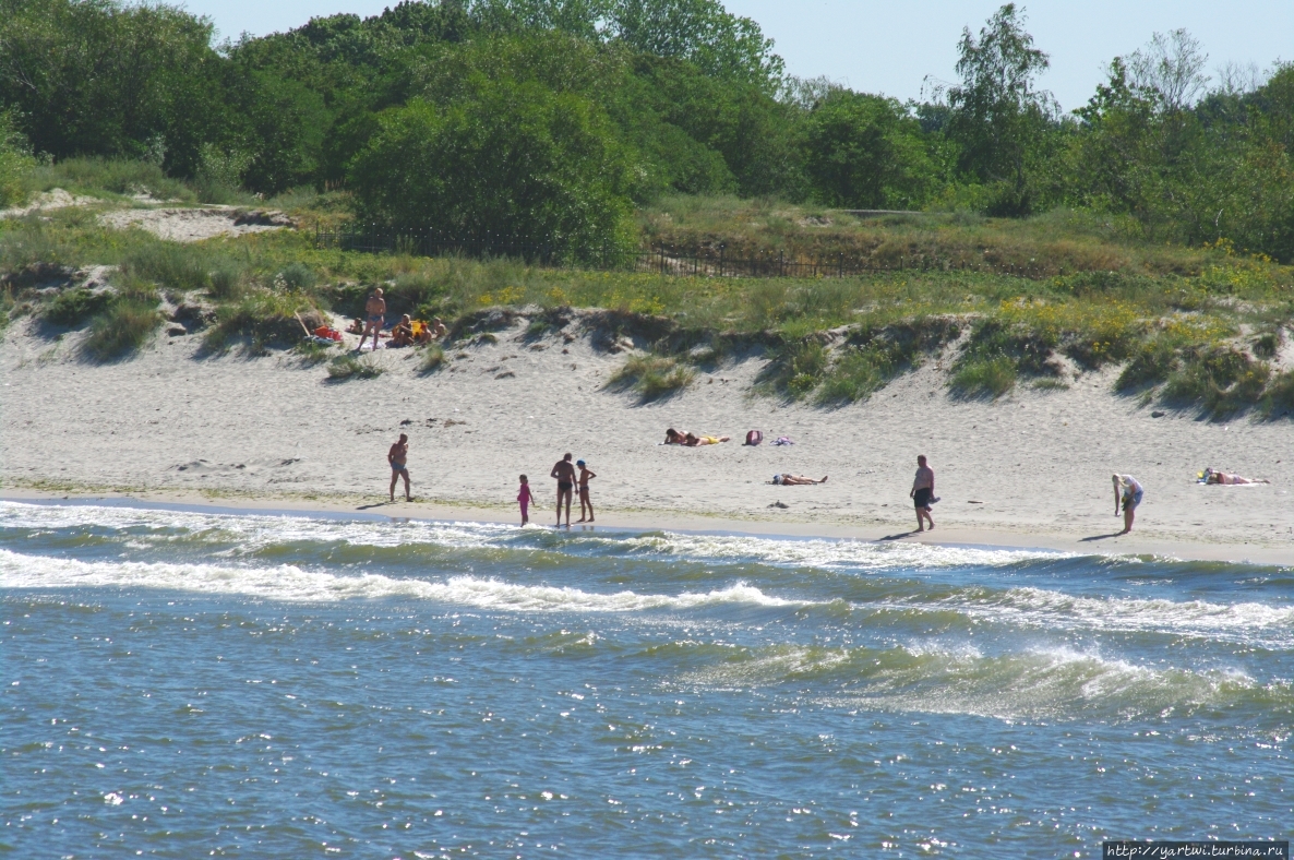 По пути фотографируем пляж возле мола. Зеленая полоска на песке — это водоросли, а за невысоким забором находятся остатки немецкой береговой артбатареи. Балтийск, Россия