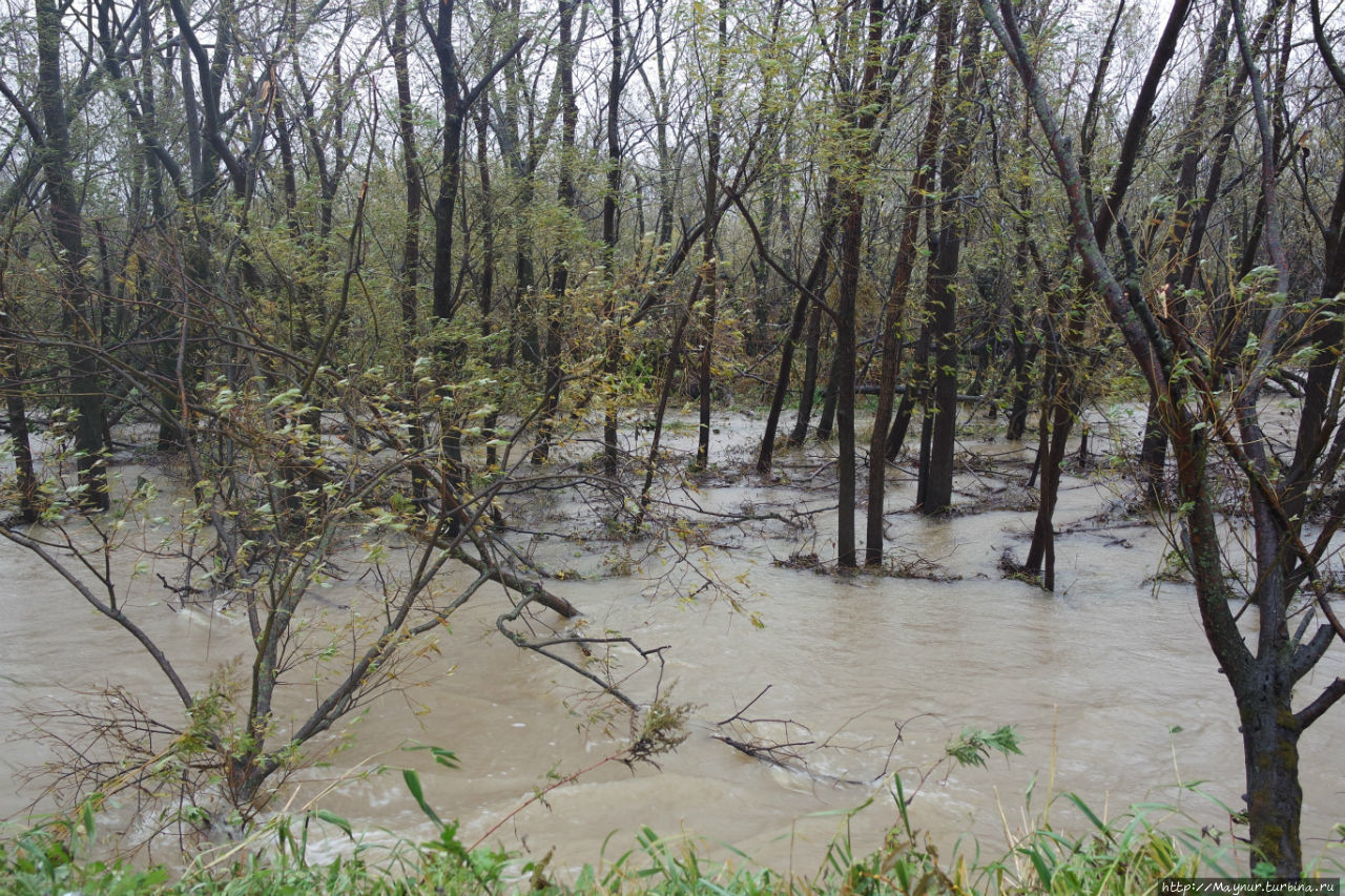 Разлив реки, словно в весеннее половодье. Южно-Сахалинск, Россия Разлив реки, словно в весеннее половодье. Южно-Сахалинск, Россия