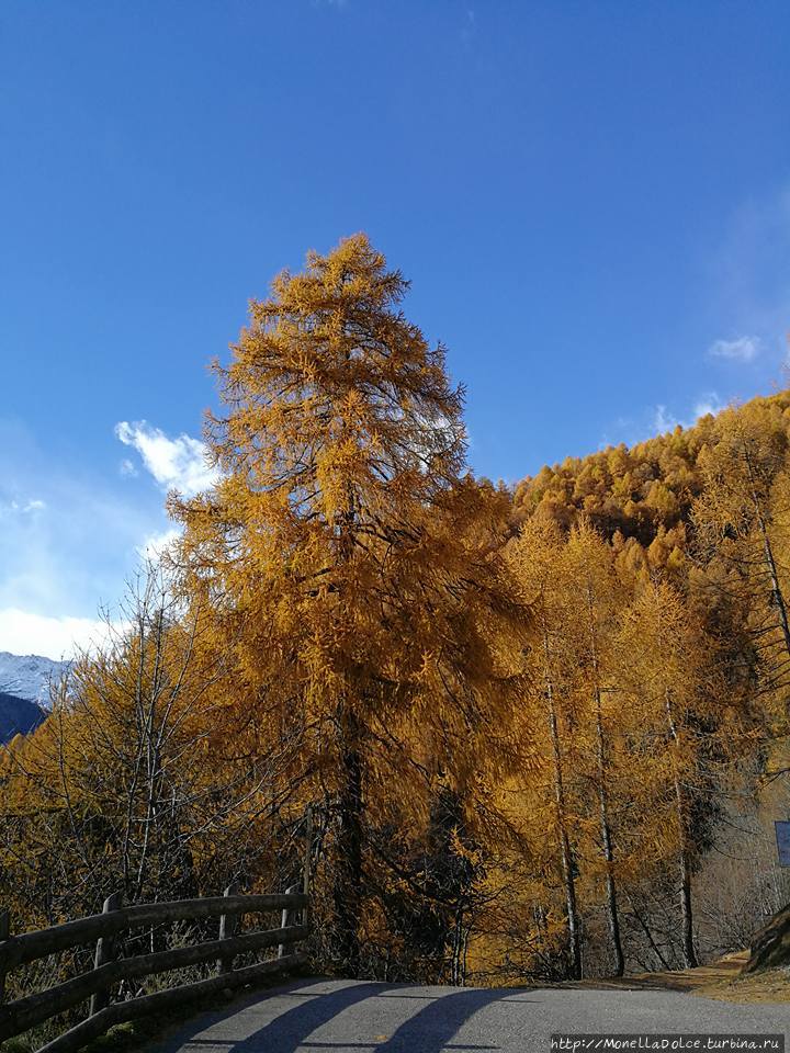 Национальный парк-''Parco Nazionale dello Stelvio'' Стельвио Национальный Парк, Италия