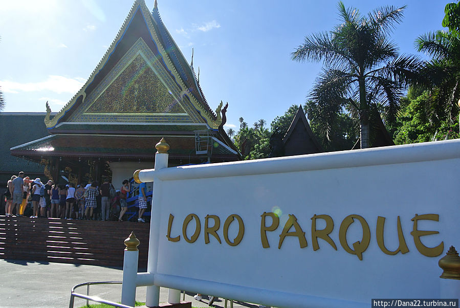 Часть 6. Лоро Парк как гормон счастья Остров Тенерифе, Испания Часть 6. Лоро Парк как гормон счастья Остров Тенерифе, Испания