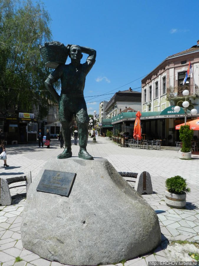 Экскурсия в Жупу Александровац, Сербия