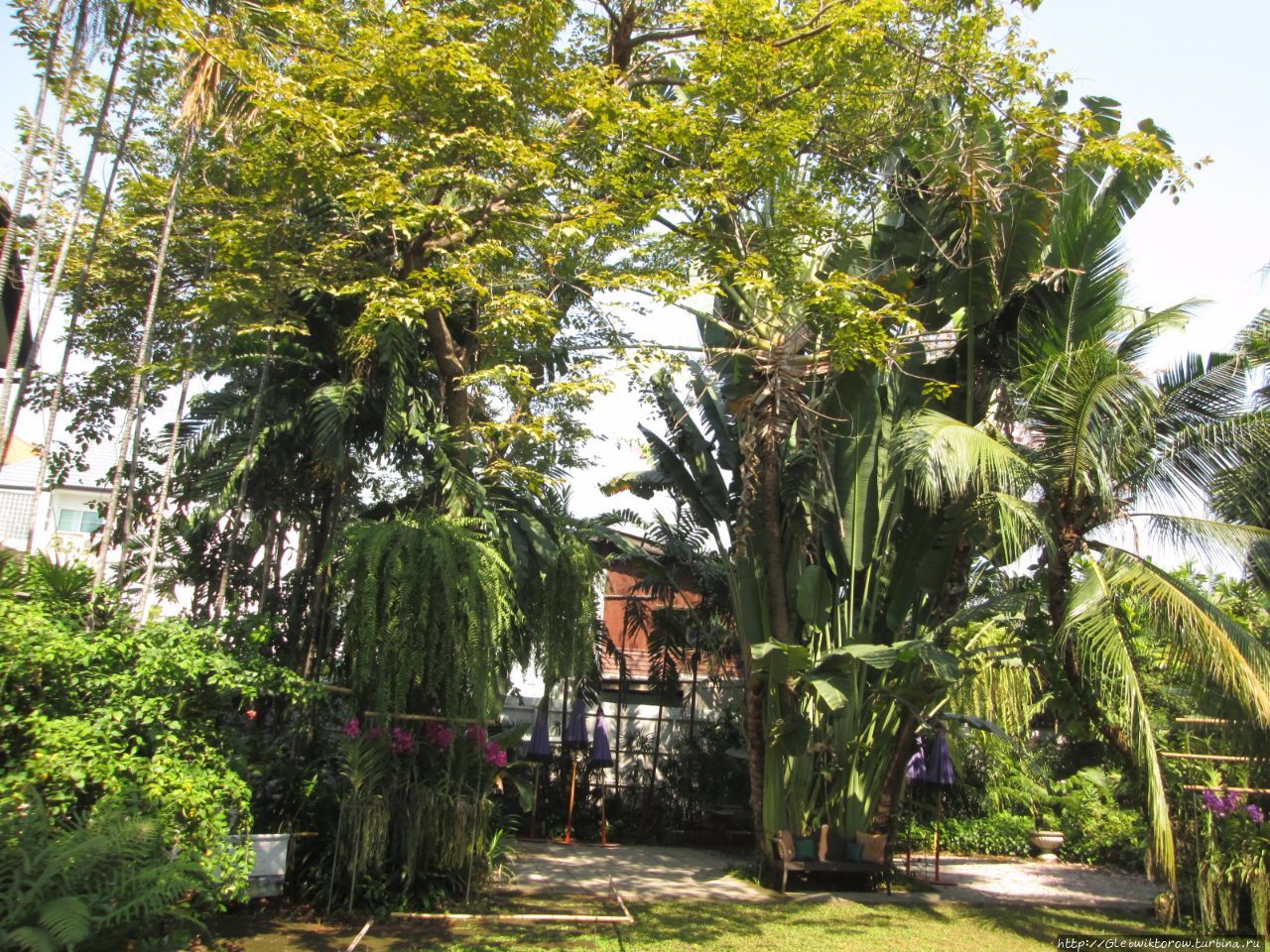 Ботанический музей Бангкок, Таиланд